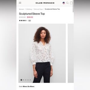 Club Monaco sculptured sleeve top